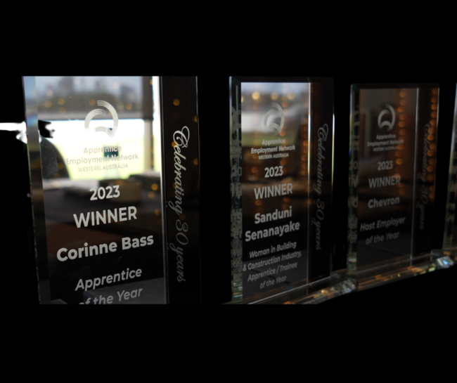 AEN WA Award background replacement 2023 Awards For Excellence Winners